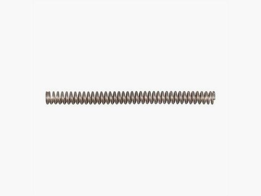 COLT AR15A4 TAKEDOWN PIN SPRING