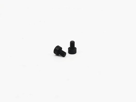 HMS Montaggio Girevole EAW Compatibile Supporti Posteriori Vite di Supporto M4