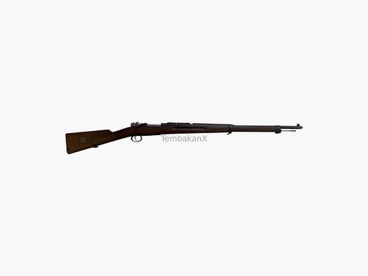 <Carl Gustafs Mod. 96 6,5x55SE>