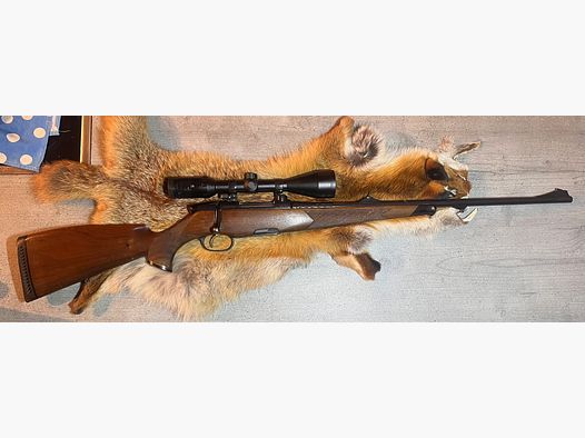 Steyr Mannlicher Luxus – caliber .243 Win. with Kahles KXi 3.5–10x50