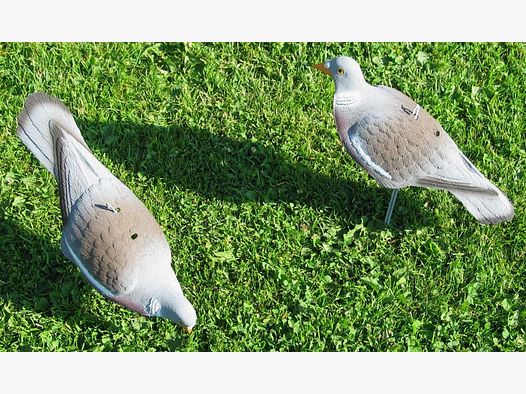 pigeons de leurre neufs (12 pièces) demi-coquille ; pigeon ramier