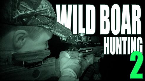 Wild boar hunting 2 - hunting wild boar at night filmed by a thermal imaging camera