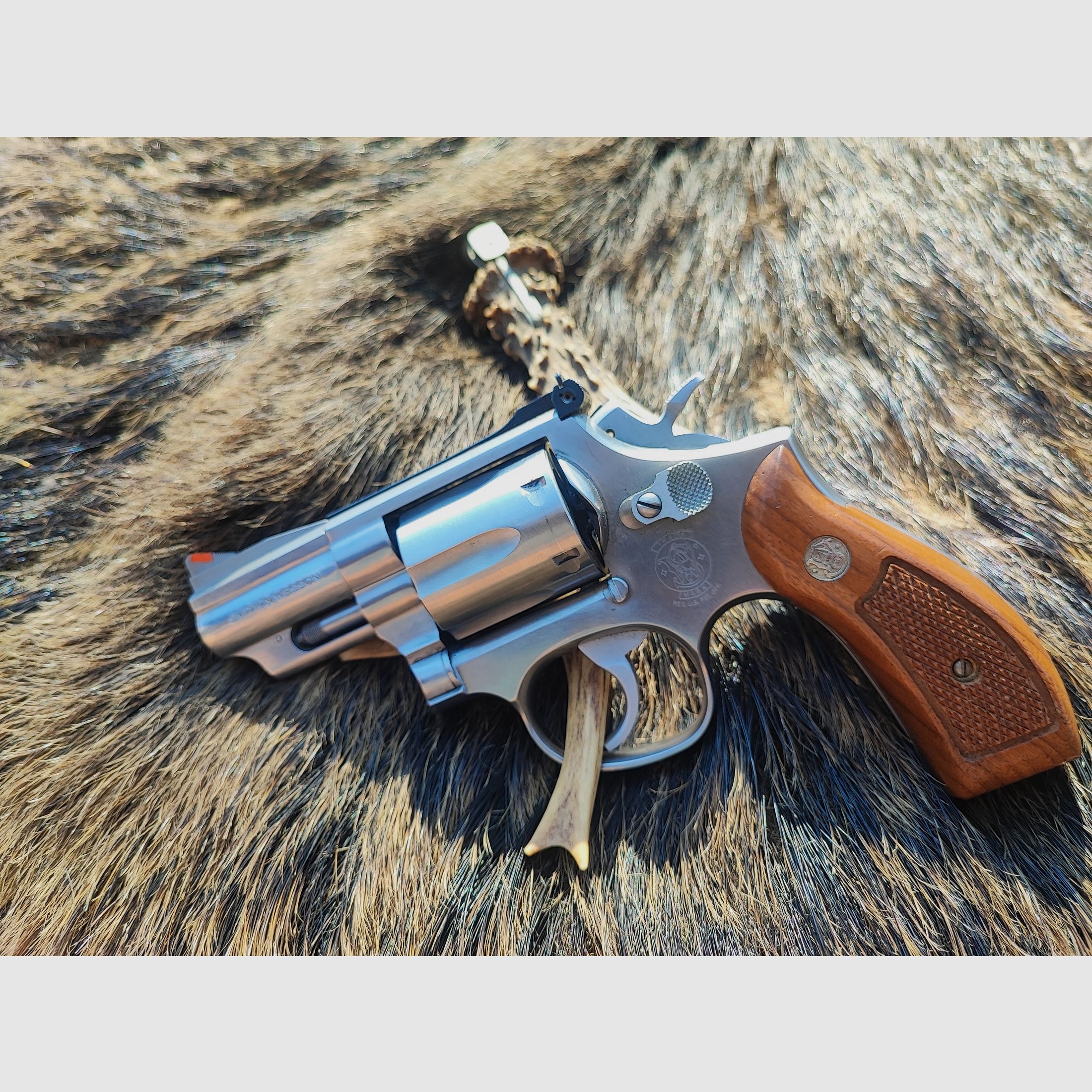 Smith & Wesson 686