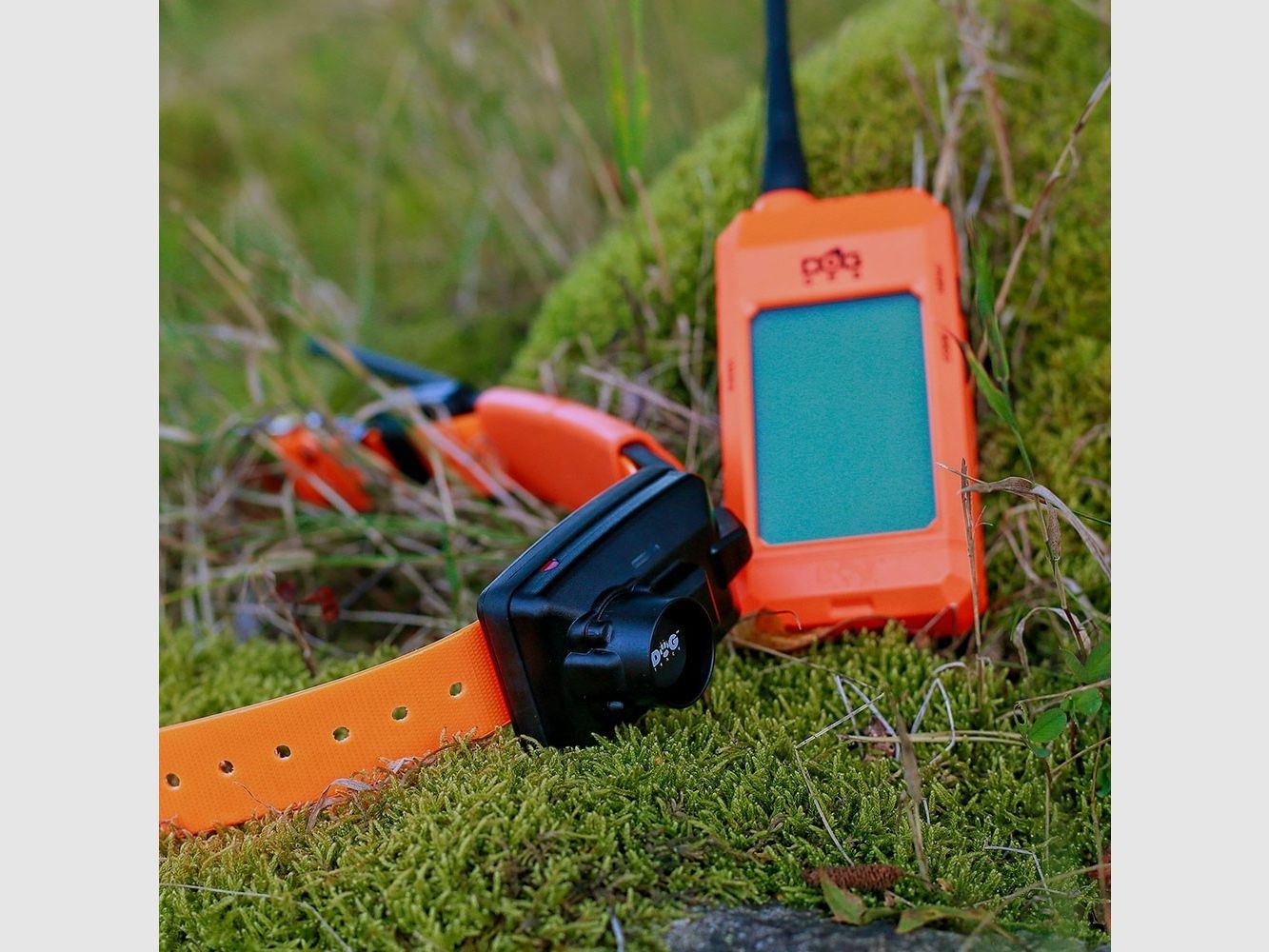 Dogtrace GPS X30-B, afbeelding 21 van 22