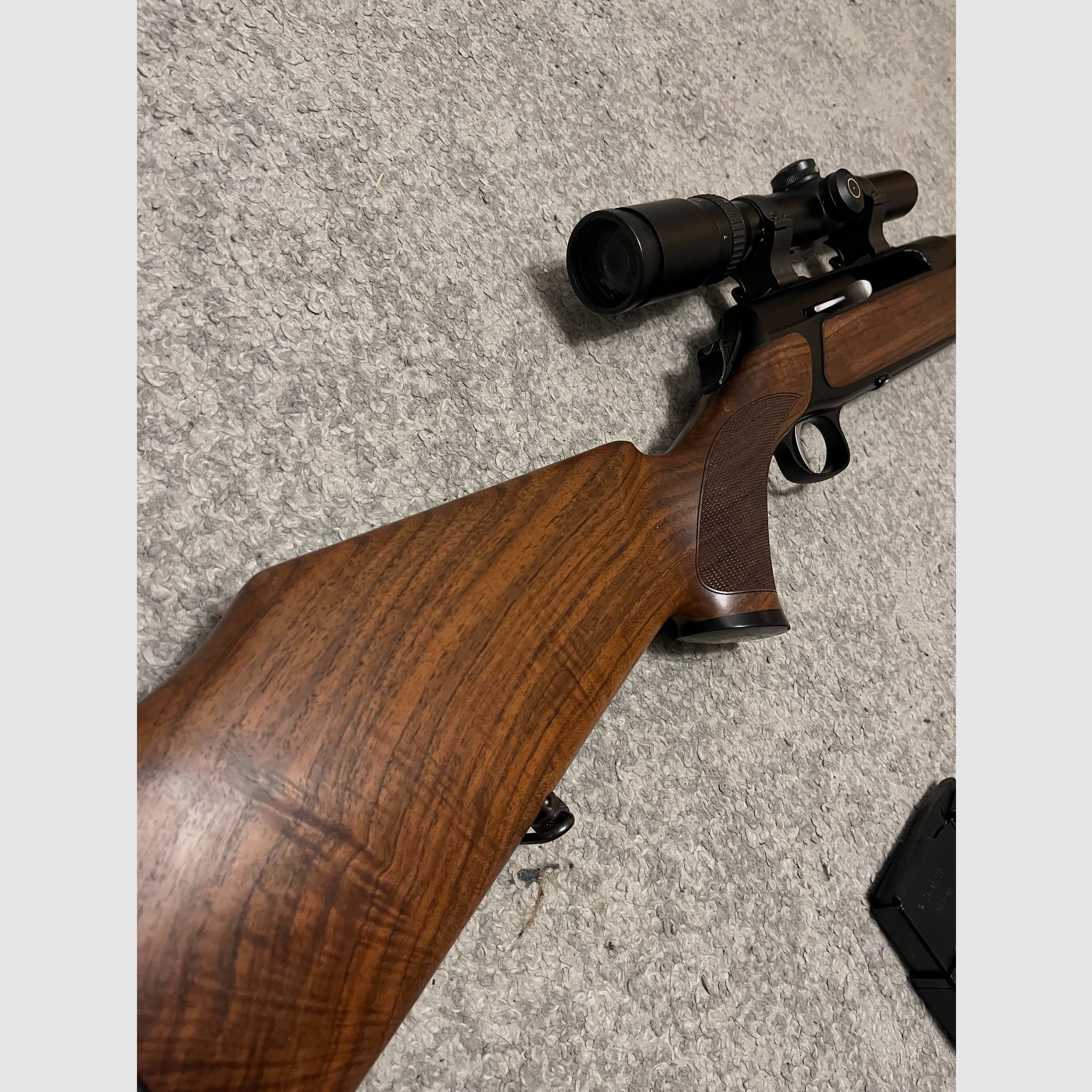 Sauer 303 