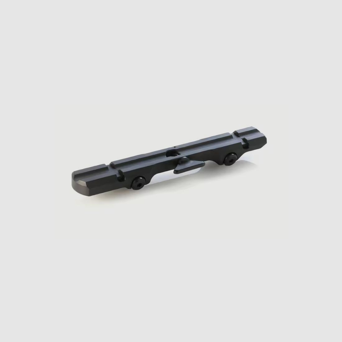 Dentler Grundschiene Basis voor Blaser