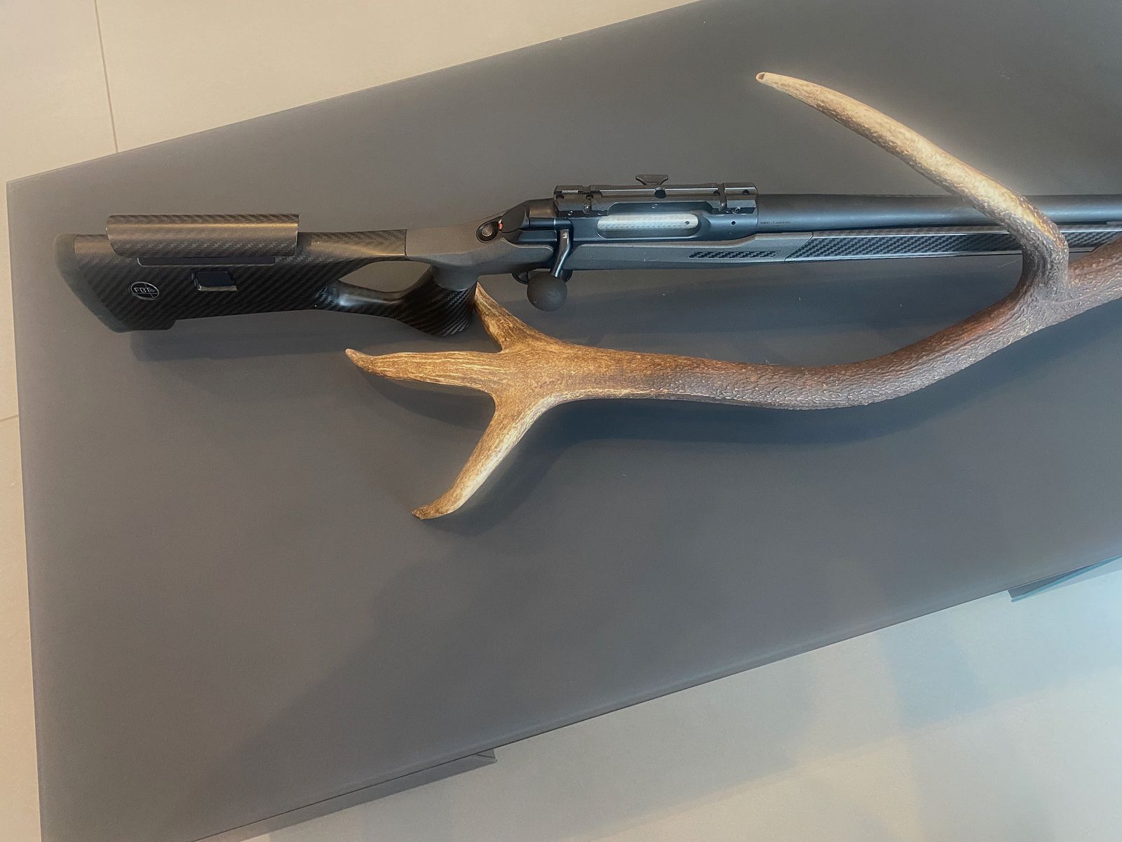 Sauer 202 carbon stock caliber 308