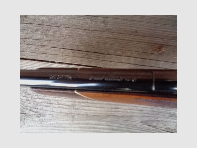 Sauer 80  Kal. 243 Win mit Schmidt und Bender 3-12x50 Klassik Abs 4. beleuchtet