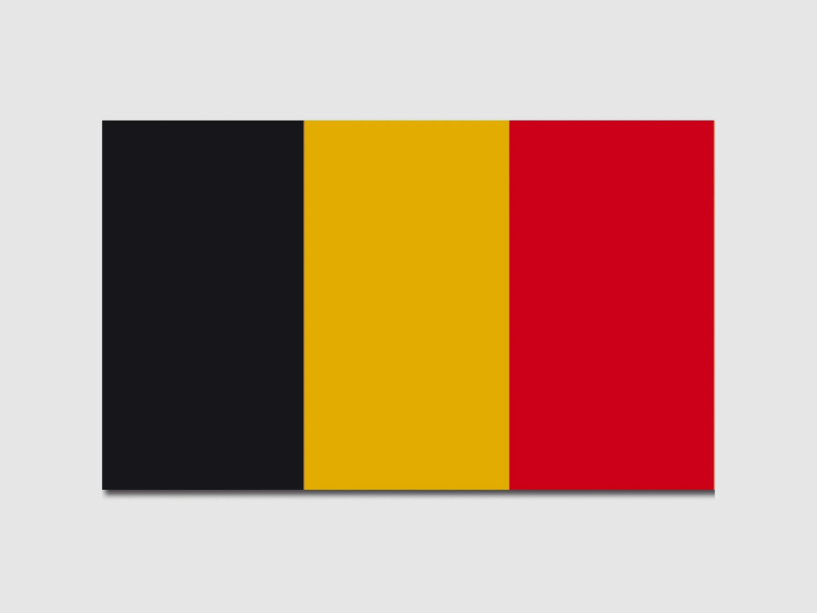 Diverse Flagge Belgien