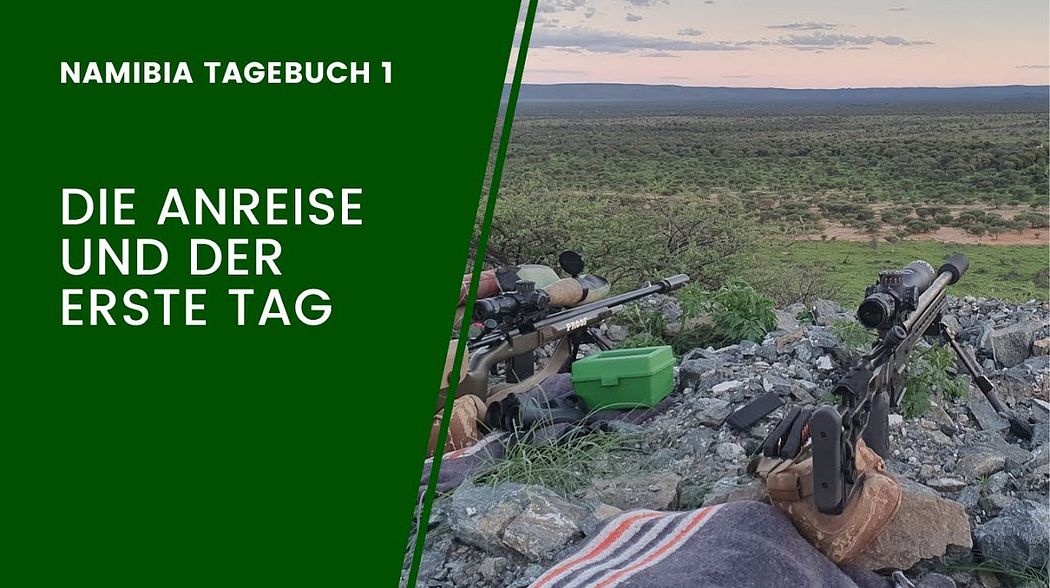 Anreise und Tag 1 in Namibia - Waldfein in Afrika - Teil 1