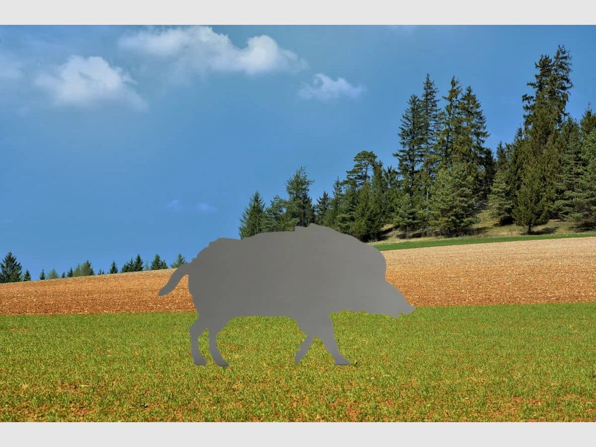 Sculpture "Wild Boar