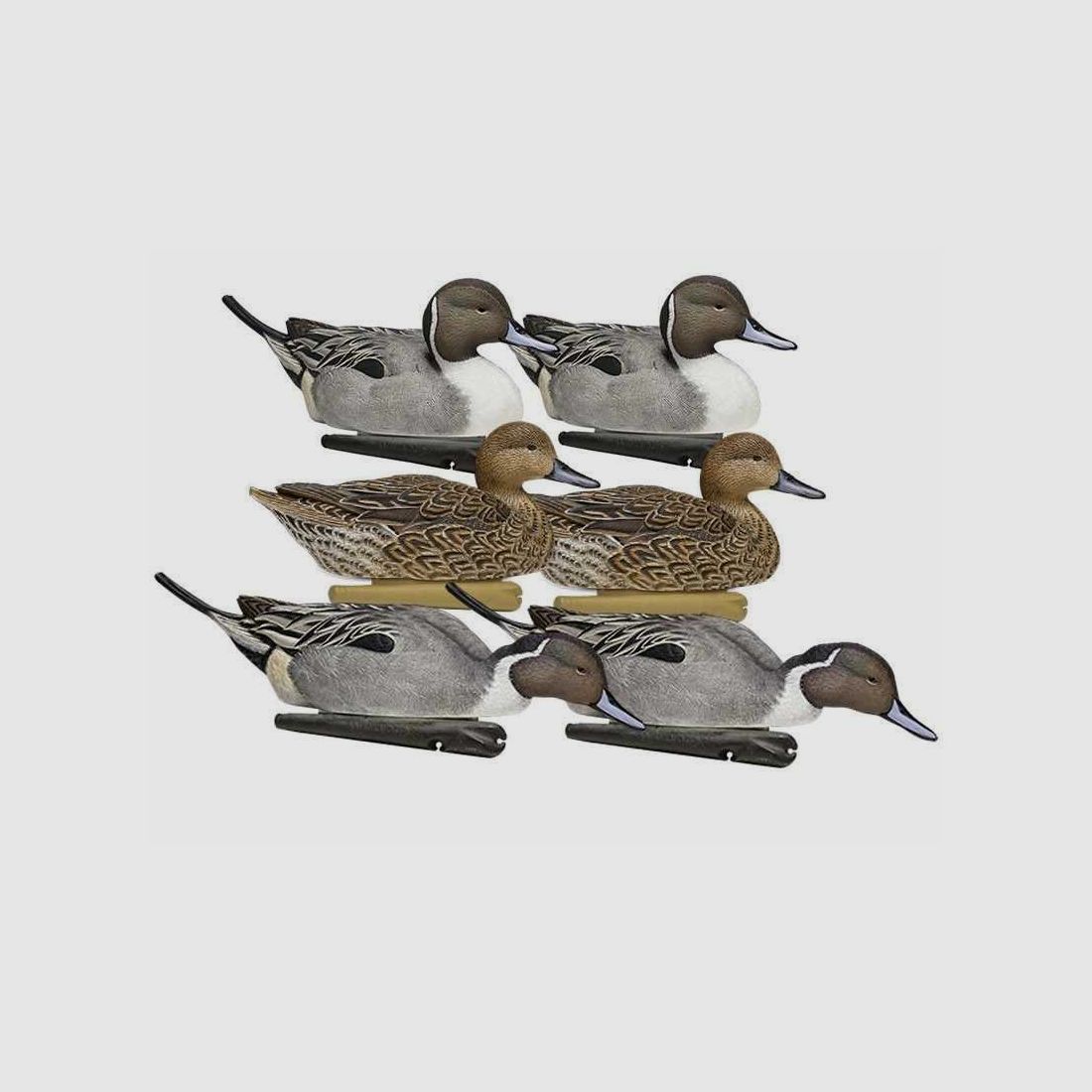Aktive Pilet-Formen AvianX, Bild 1 von 8