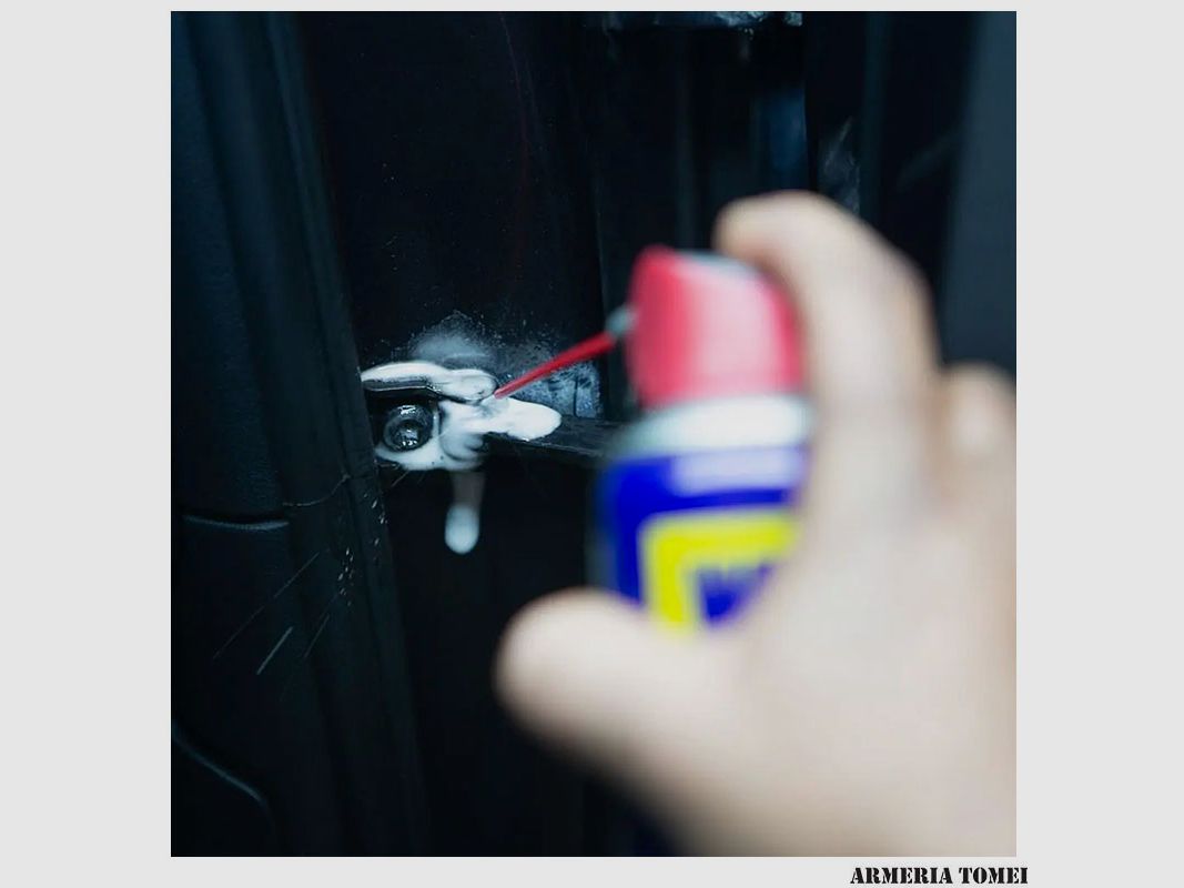 WD-40 – MULTIFUNCTIONEEL SPUITBUS 2 POSITIES PROFESSIONEEL SYSTEEM 500ml (bevat geen silicone), afbeelding 4 van 5