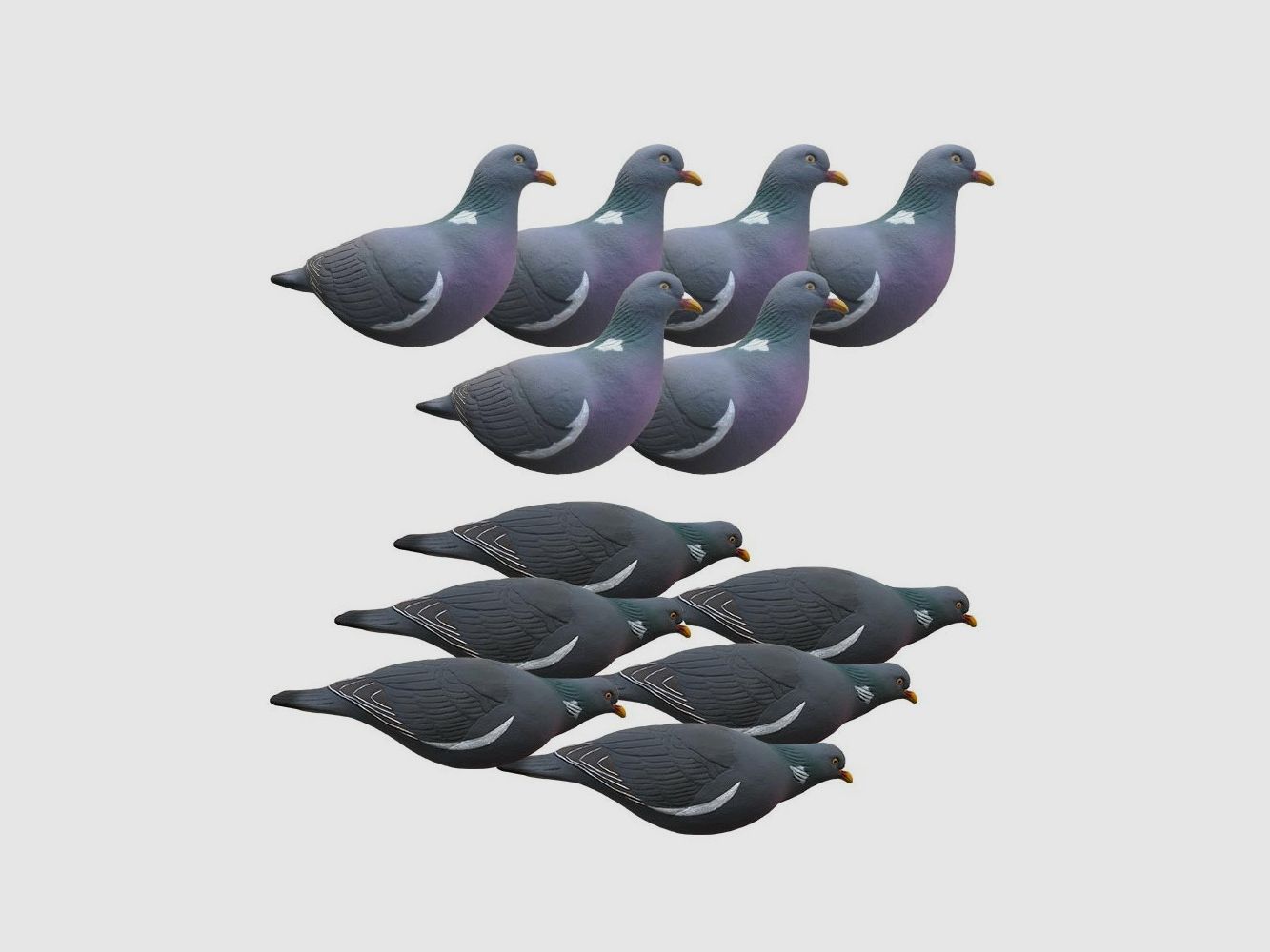 Pigeonformen Last Pass x12, Bild 1 von 6
