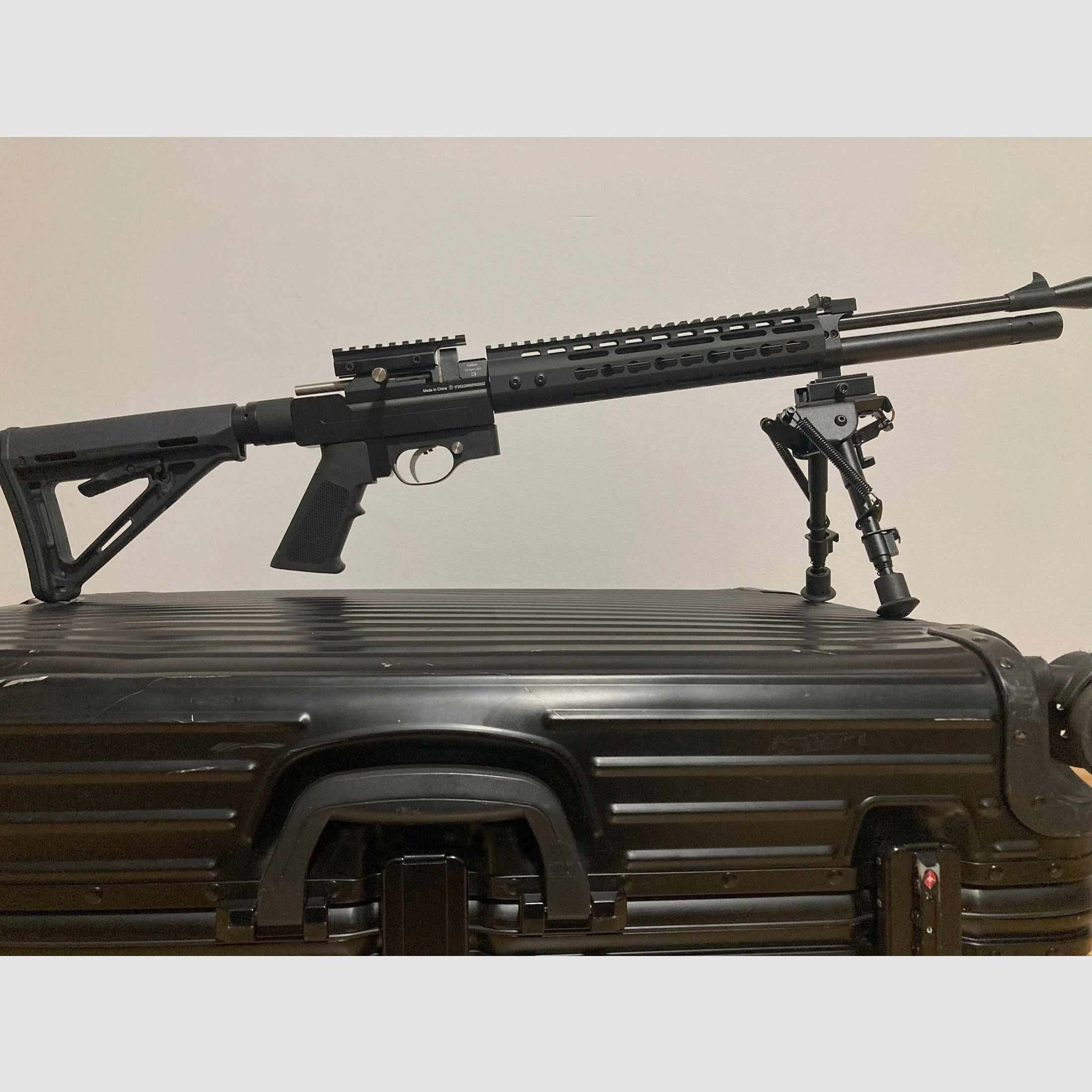 Diana Stormrider carabine à air 5,5 mm conversion style AR15 7,5J, y compris kit d'exportation 35J (non installé)