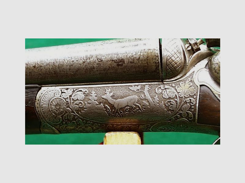 Double shotgun / hammer double shotgun