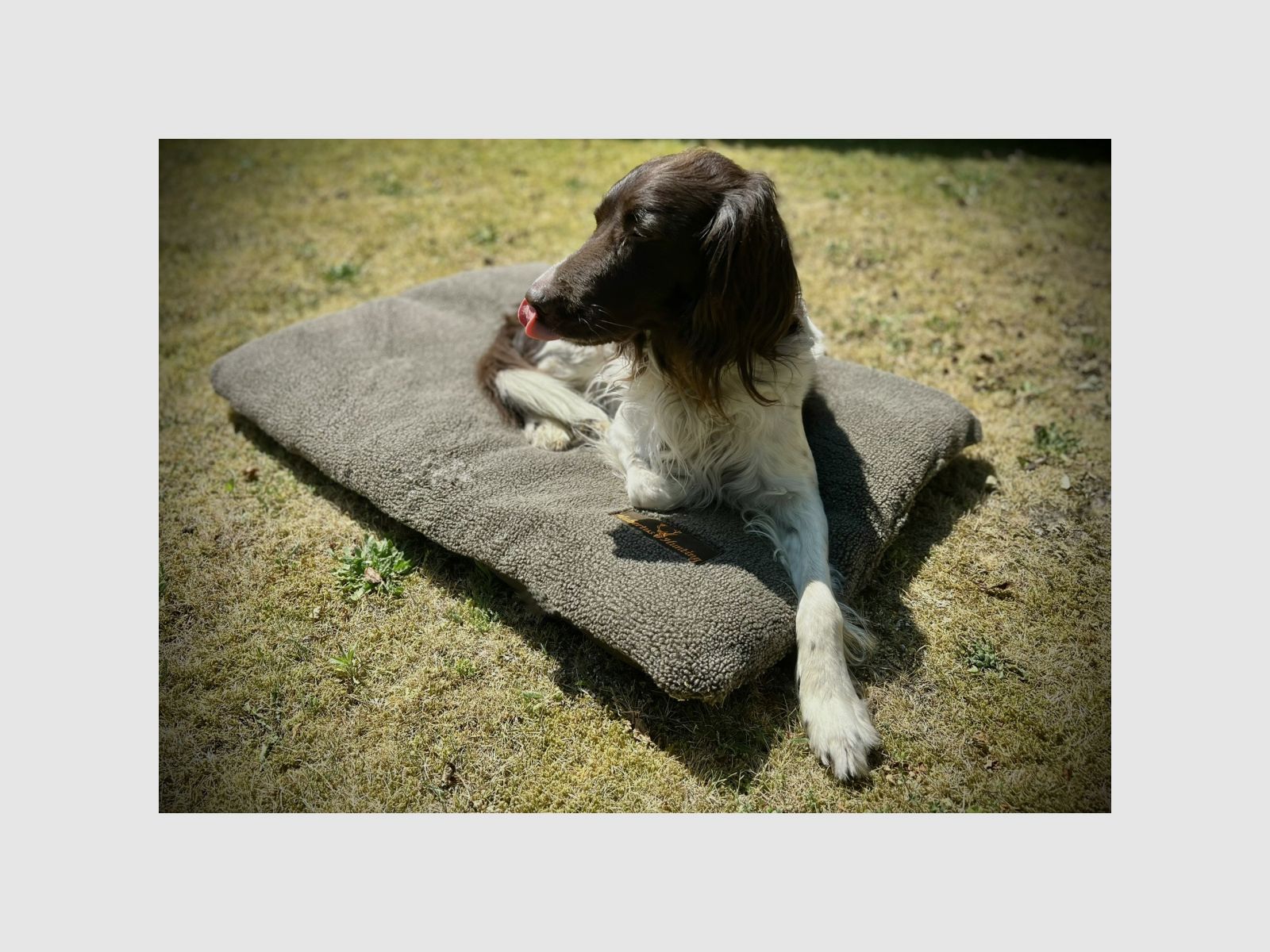 HUBERTUS Fleece hondenkleed 95x140cm Olijf