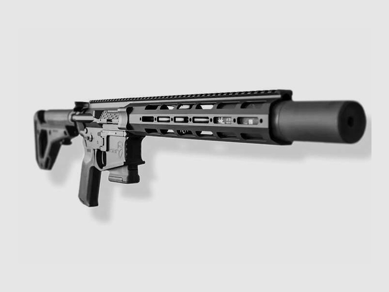 DAR-15 Blackout .300AAC Blackout