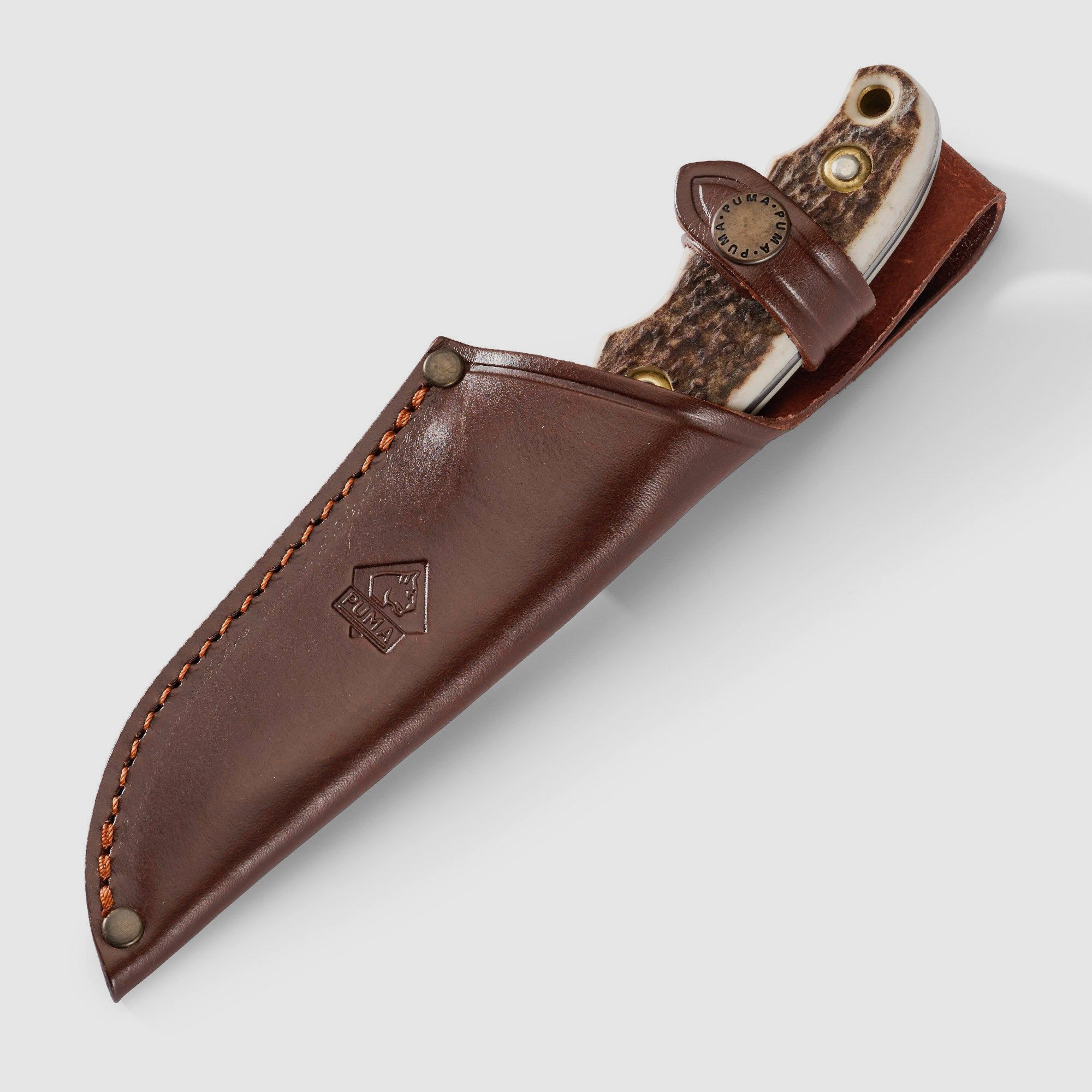 PUMA saubart, edizione FAOS