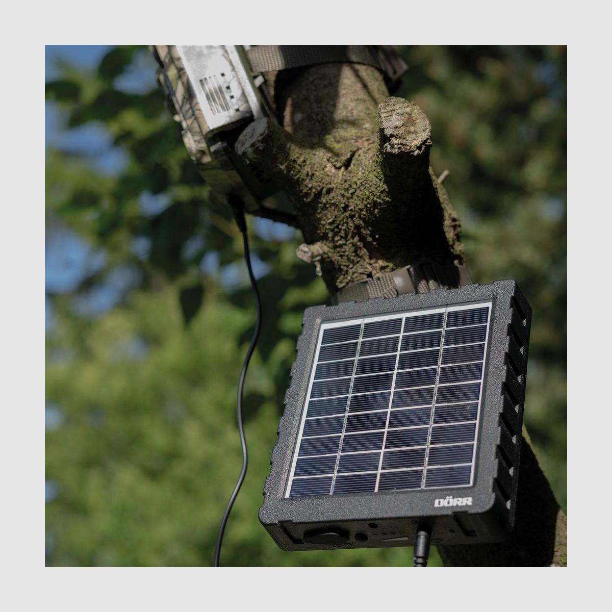 DÖRR Solar Panel Li-1500 12V/6V