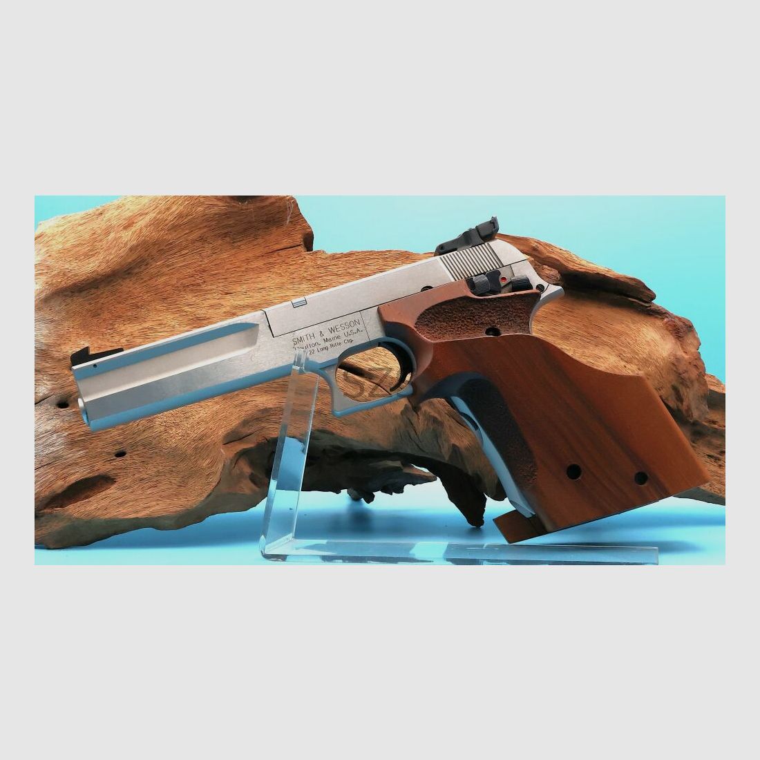 Smith & Wesson 2206 Target Champion