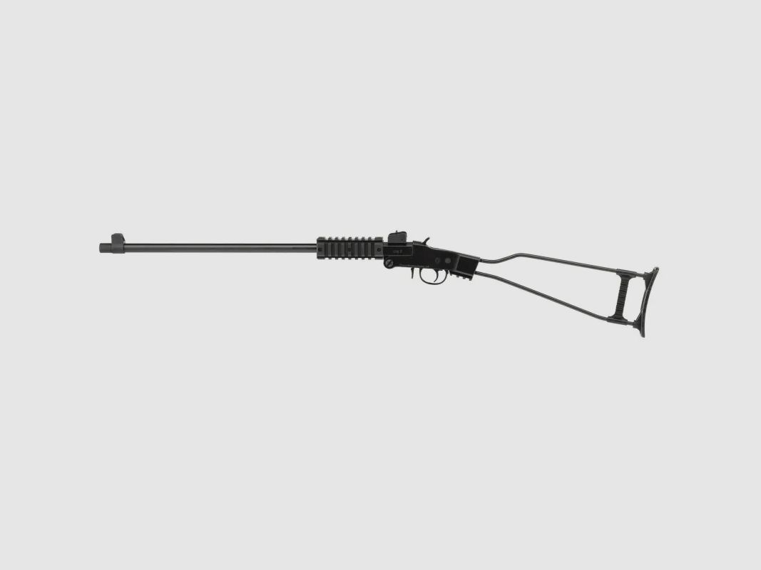 CHIAPPA LITTLE BADGER, image 7 sur 7
