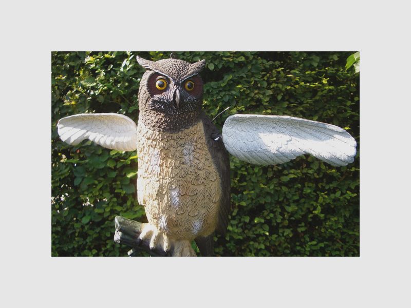 Beweglicher Uhu mit Fernbedienung