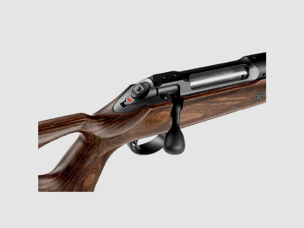 Sauer S101 GTI, Bild 5 von 5