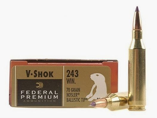 Federal Premium Varmint & Predator Nosler Ballistic Tip .243 Win. 70GR 20 cartouches