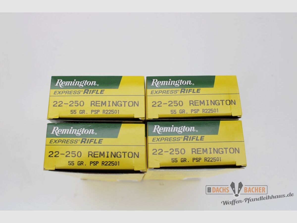 Remington .22-250 Rem 55gr. PSP 80 (4x20) Schuß