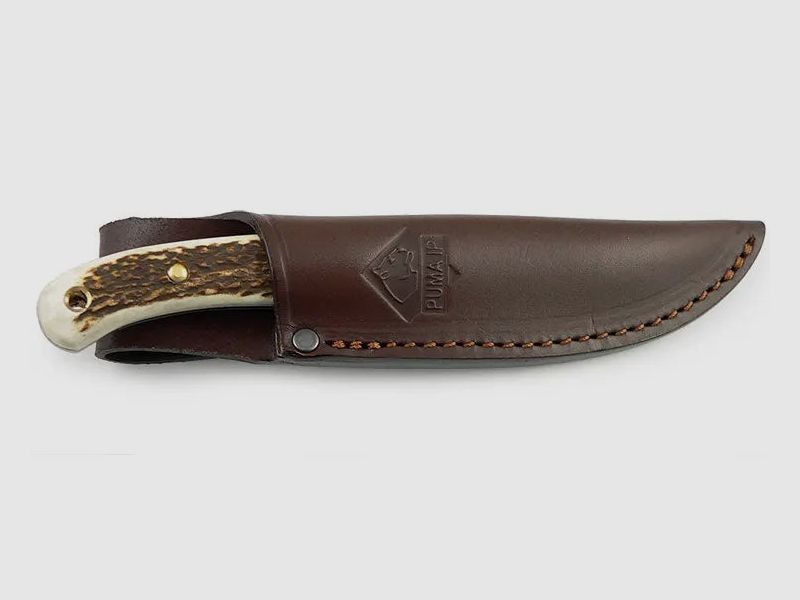 PUMA IP catamount, stag