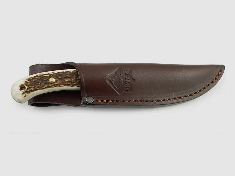 PUMA IP catamount, cervo