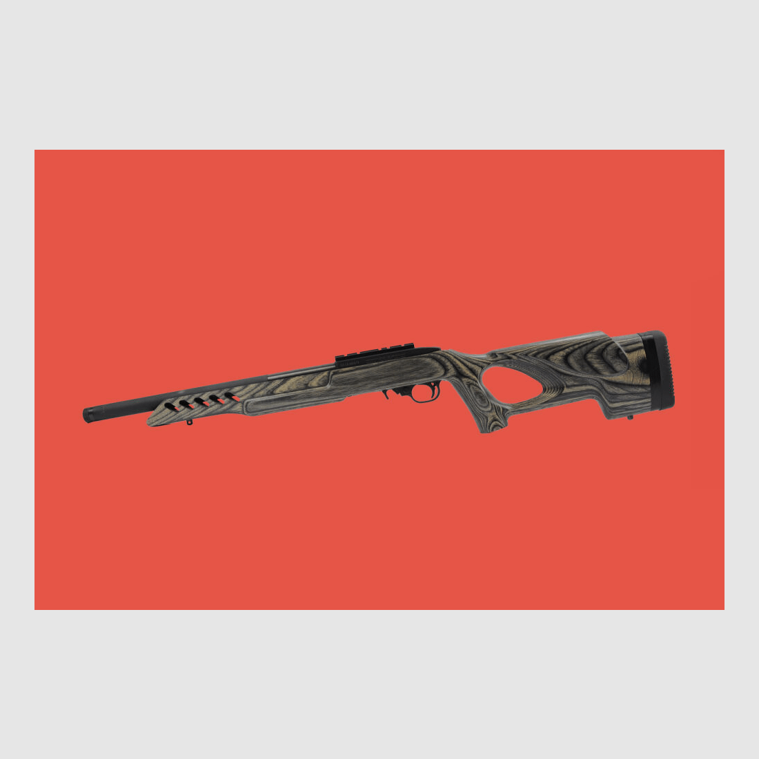 Ruger 10/22 Target