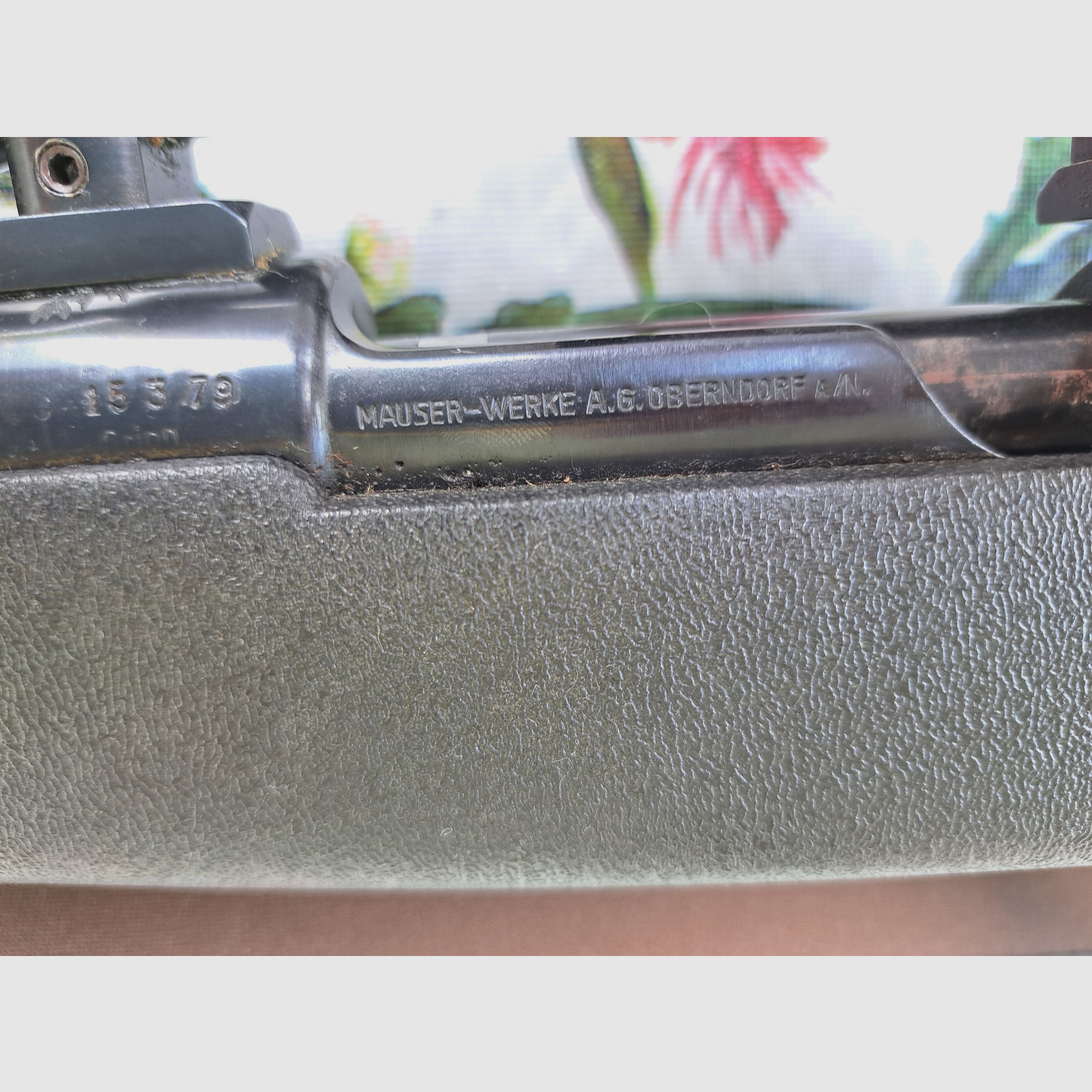 Mauser de chasse 8 x 57 IS métrique avec lunette de visée Helia S 8 x 56 Kahles Vienne ainsi que sangle de transport