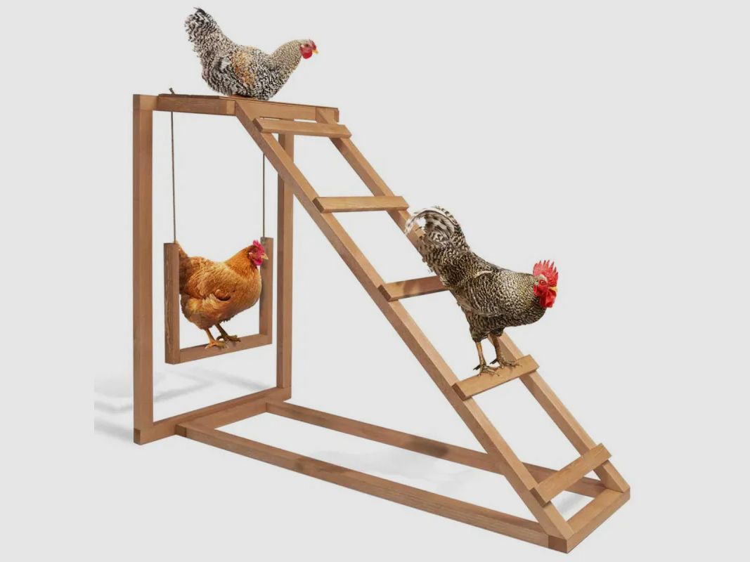 Hühnerperch aus Holz 1 Leiter mit Schaukel, Bild 2 von 11
