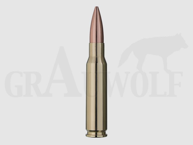 .308 Winchester 154 gr / 10,00 g RWS Target Elite Plus Match Patronen 20 Stück