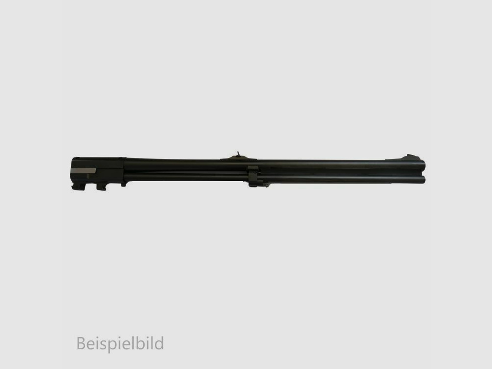 Blaser WL 95