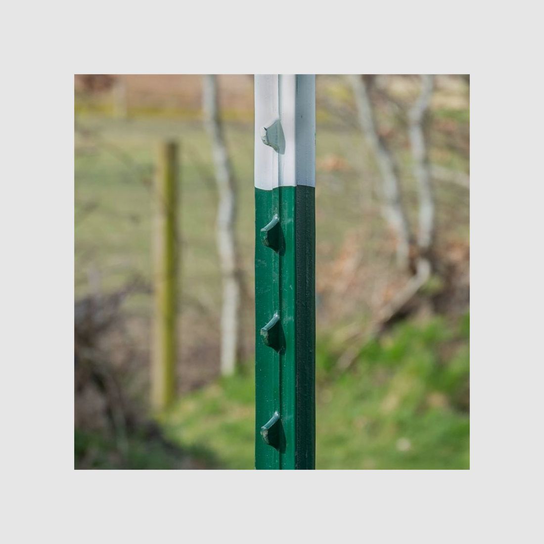 VOSS. Palo a T, paletto a T, 213 cm, paletto metallico verde per recinzione da pascolo, set da 10, immagine 4 di 6