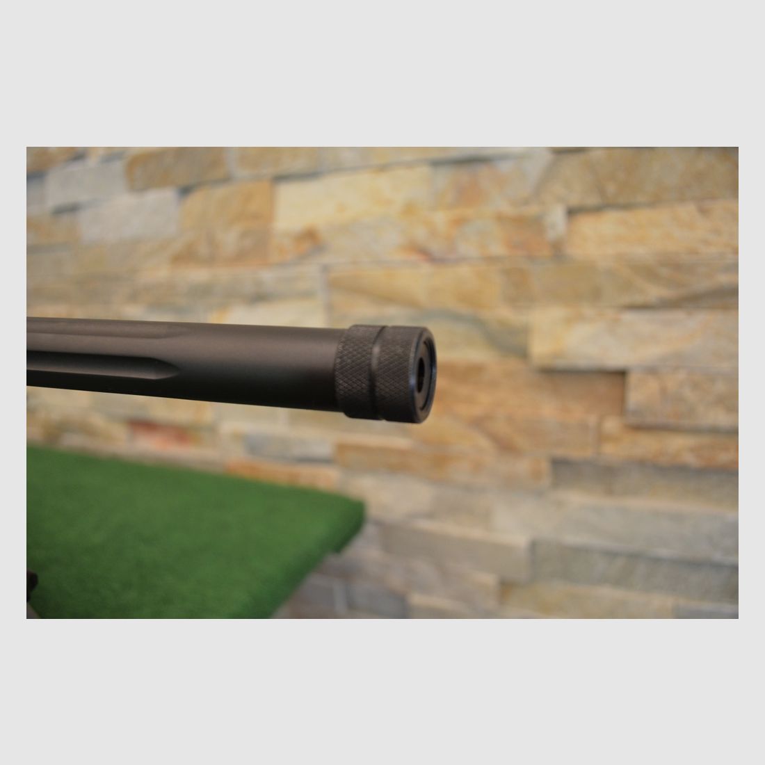 Savage Arms Model 10 BA Stealth