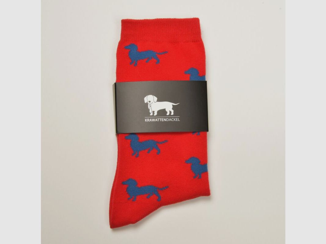 Krawattendackel Damen Socken rot, Dackel blau, Größe 36-40