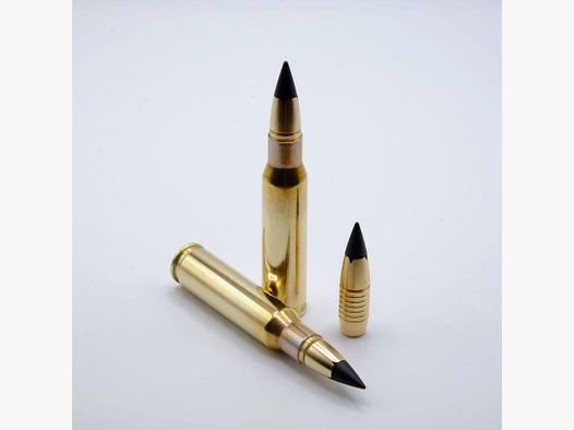 GM – 50 Patronen – Splinter Tip – .308 Win – 7,8 g