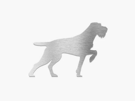 Pin Decorativo "Drahthaar"