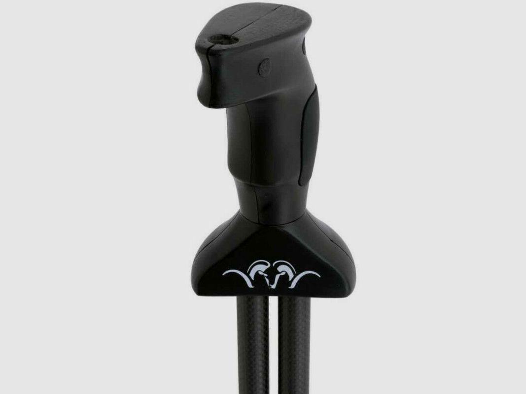 Blaser Carbon Zielstock 2.0