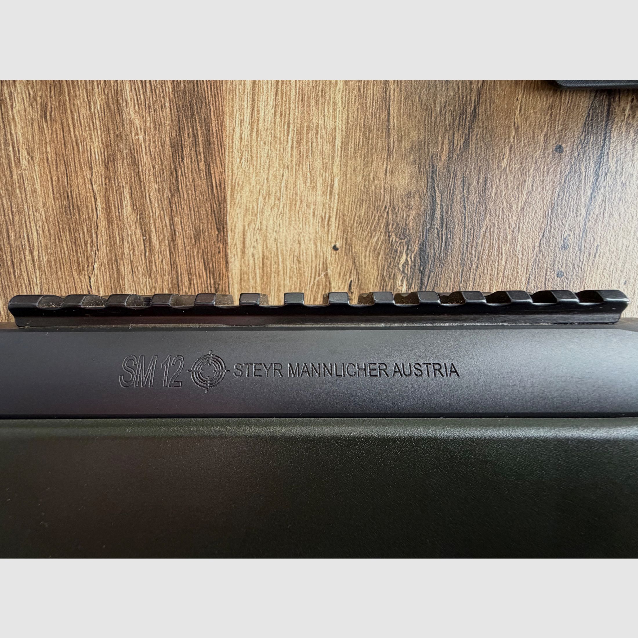 Steyr Mannlicher SM12 308, imagen 3 de 4