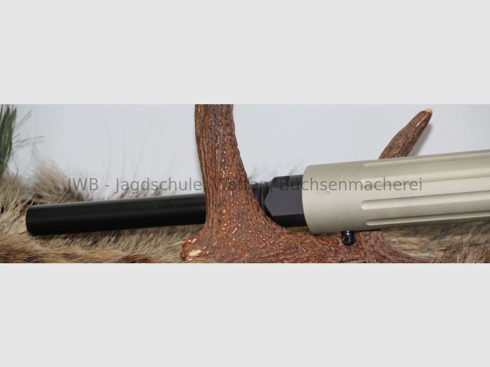 Oberland DPMS Panther Arms A-15 - .223 Rem.