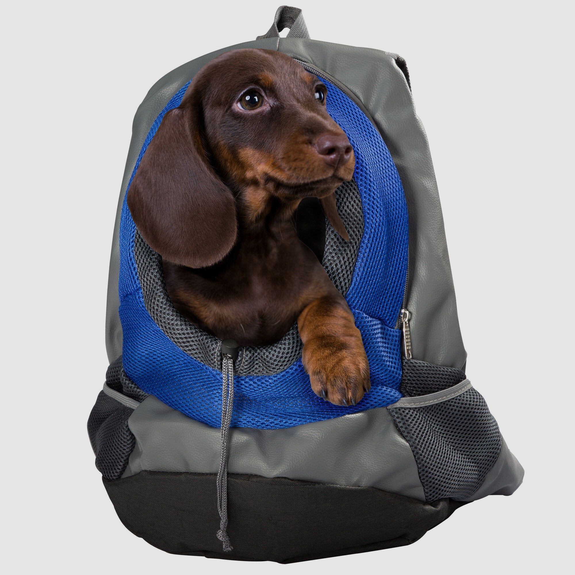 Backpack for Dogs, image 2 of 8