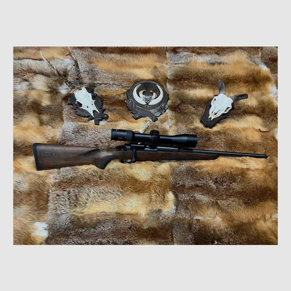 Mauser M25 Pure