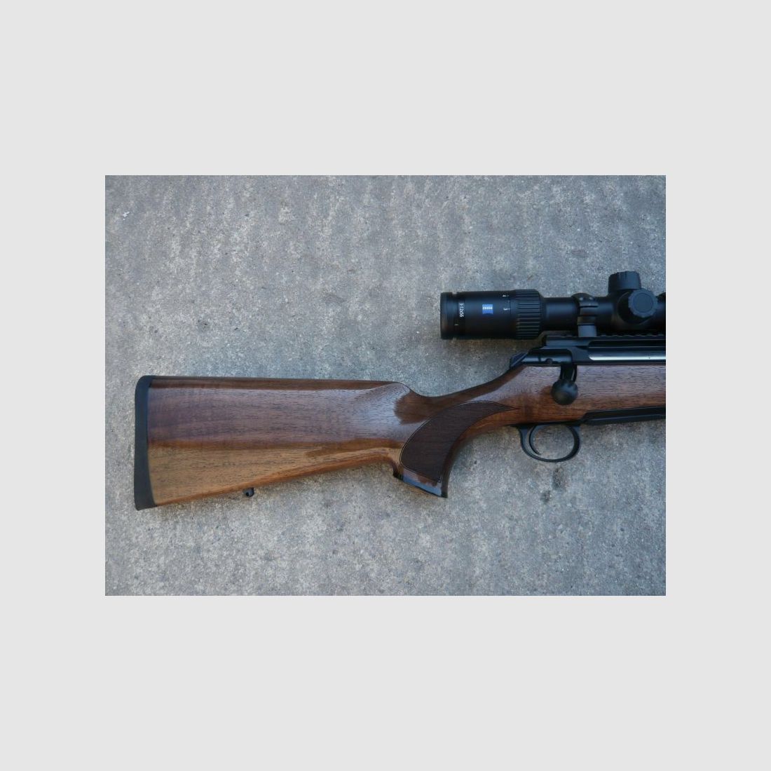 Sauer 101