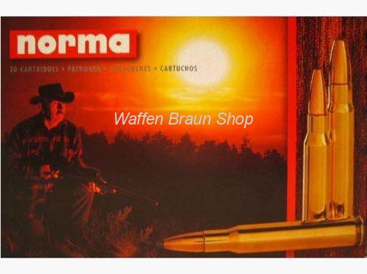 NORMA .375 H&H MAG SW A-FR 19,4G 300GR 20 Stück