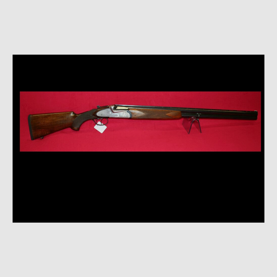 Turin mit Seitenschloss